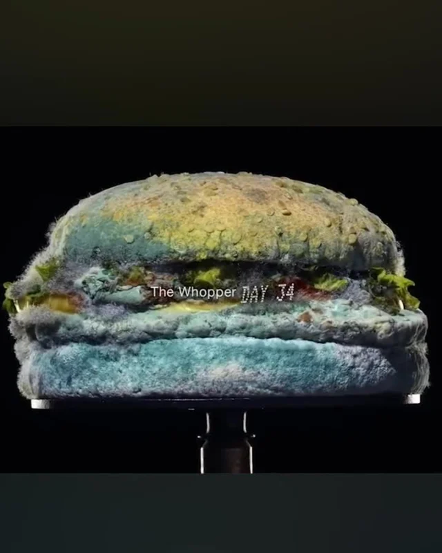 Why did Burger King break every rule of food marketing? 🍔

The "Moldy Whopper" campaign was launched in February 2020. It included a series of print, TV, and digital ads that featured close-up images of Whoppers covered in mold. The ads were accompanied by the tagline “The real Whopper. No preservatives. No artificial ingredients. Just real food.”

Their campaign dared to show a Whopper decaying over 34 days, emphasizing no artificial preservatives. This bold move flipped the script on fast food, challenging the status quo and sparking huge conversations.

The results? 🤯 21.4 million impressions in two weeks, a 14% sales boost, 8.4 billion impressions, and $40 million in earned media value. Positive brand sentiment shot up by 88%.

Genius or madness? BK’s daring strategy made waves, showing that sometimes, breaking the rules pays off big. 🌿 

#BoldMarketing #BurgerKing